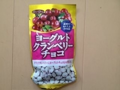 正栄デリシィ ヨーグルトクランベリーチョコ 商品写真