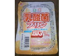 こんにゃくパーク 乳酸菌プリンBIG 商品写真