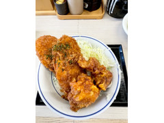 かつや タレカツとから揚げの合い盛り丼 商品写真