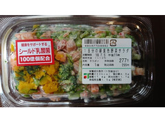デリア食品 1日分の緑黄色野菜サラダ（シールド乳酸菌入り） 商品写真