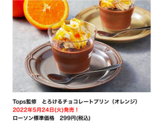 コスモフーズ トップス監修 とろけるチョコプリン（オレンジ）