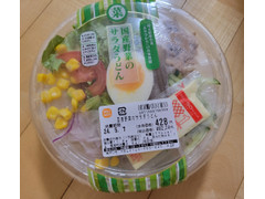 クリタエイムデリカ 国産野菜のサラダうどん