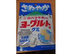 アイデアパッケージ 白バラ牛乳使用 ヨーグルト味グミ 商品写真