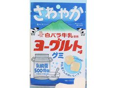 アイデアパッケージ 白バラ牛乳使用ヨーグルトグミ 商品写真