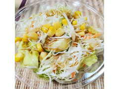 松屋 生野菜 サラダ 商品写真