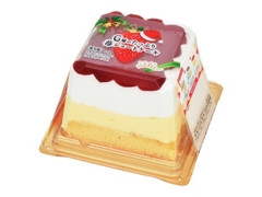  パック1個 クリスマスパッケージ