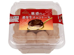 オランジェ 魅惑の濃厚生チョコケーキ 商品写真