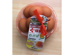 平野養鶏場 輝黄卵 わかば ヒラノのタマゴ 商品写真