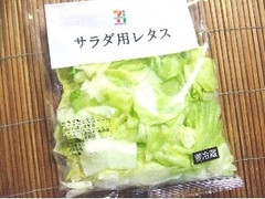 セブンプレミアム サラダ用レタス 商品写真