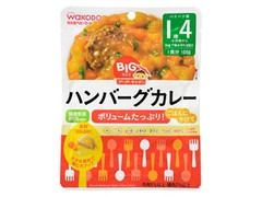 和光堂 グーグーキッチン BIGサイズ ハンバーグカレー 商品写真