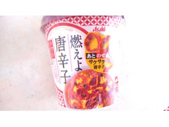 アサヒ 燃えよ唐辛子 トマトかき玉麺 商品写真