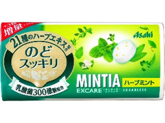 ミンティアエクスケア ハーブミント ケース28粒