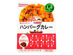 和光堂 グーグーキッチン ハンバーグカレー 箱100g