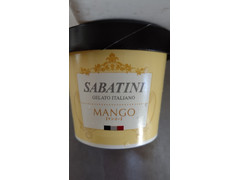 デザートプラン SABATINI マンゴー 商品写真