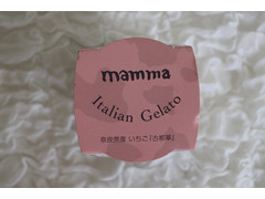 テンダーボックス mamma Italian Gelato 奈良県産 いちご 古都華 商品写真