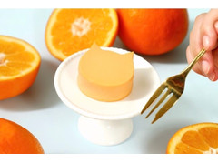 ねこねこチーズケーキ にゃんチー オレンジ 商品写真