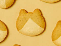 ねこねこ はちわれクッキー キャラメルナッツ