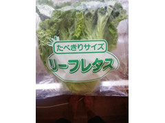 アークス 食べきりサイズ リーフレタス 商品写真