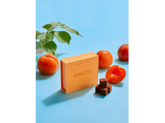 MAISON CACAO アロマ生チョコレート APRICOT 商品写真