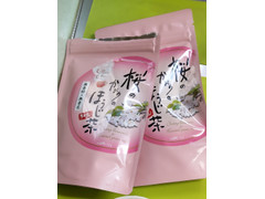 山陽商事 桜のかおりのほうじ茶ティーバッグ 商品写真
