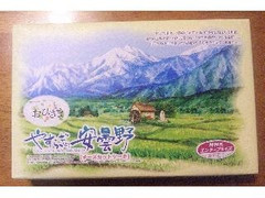 竹内製菓 おひさまやすらぎの安曇野チーズカットケーキ 商品写真