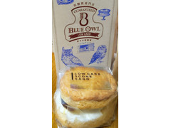BLUE OWL 低糖質スコーン LOW CARB SCONE SAND 宮崎熟成焼き芋チーズ 商品写真