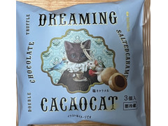 DADACA Dreaming CACAOCAT 塩キャラメル 商品写真