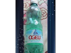 STE EAUX MINERALES D OGEU SEMO 炭酸入りナチュラルミネラルウォーター 商品写真