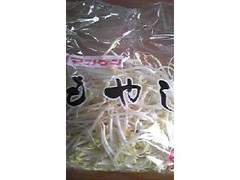 マツゲン もやし 商品写真