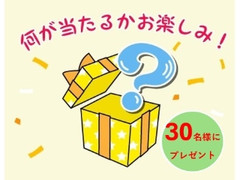 【チョコレート】何が当たるかはお楽しみ♪