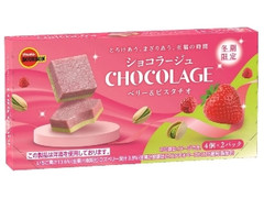 至福の時間「ショコラージュベリー&ピスタチオ」