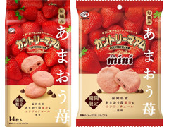 不二家 カントリーマアム 旬摘みあまおう苺