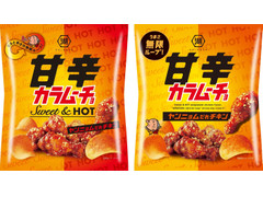 湖池屋 甘辛カラムーチョ ヤンニョムだれチキン 商品写真