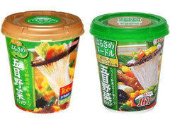 エースコック はるさめヌードル 五目野菜タンメン 商品写真