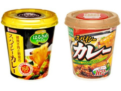 エースコック はるさめヌードル スパイシーカレー