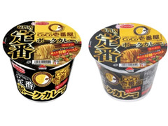 エースコック CoCo壱番屋監修 専門店の定番 ポークカレー味ラーメン 商品写真