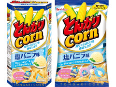 ハウス とんがりコーン 塩バニラ味 商品写真