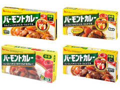 ハウス バーモントカレー 中辛 商品写真