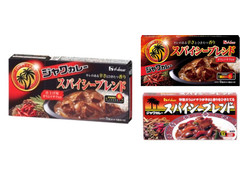 ハウス ジャワカレー スパイシーブレンド 商品写真