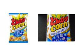 ハウス とんがりコーン 雪塩バター味 商品写真