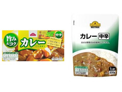 トップバリュ カレー 中辛 商品写真