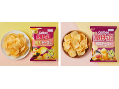 カルビー ポテトチップス 明太チーズ味