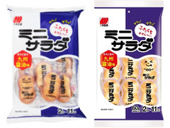 三幸製菓 ミニサラダ 九州醤油味 商品写真