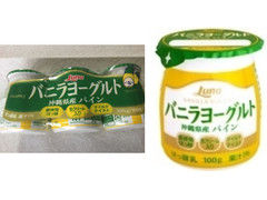 日本ルナ バニラヨーグルト 沖縄県産パイン 商品写真