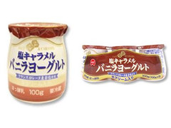 日本ルナ 塩キャラメルバニラヨーグルト 商品写真