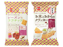 岩塚製菓 ライスすたいる レーズン＆ココナッツ 商品写真