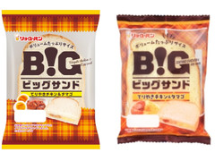 リョーユーパン ビッグサンド てりやきチキン＆タマゴ 商品写真