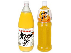 和歌山県農協連 わかやま オレンジみかんジュース 商品写真