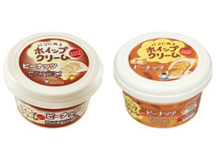 ソントン パンにぬるホイップクリーム ピーナッツ 商品写真