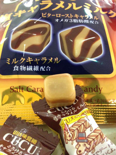 「UHA味覚糖 キュキュ とろける 塩キャラメルミルク 袋90g」のクチコミ画像 by レビュアーさん